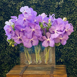 Abloom