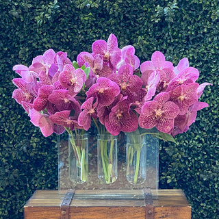 Abloom