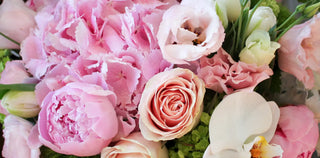 best flower delivery