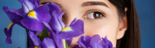 iris flower