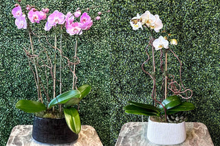 Major 2026 Floral Trends