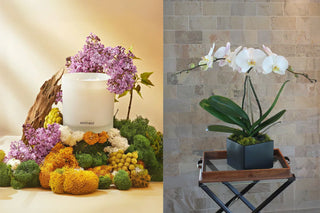 Valentine’s Gift Wife