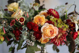 Top 6 Traditional Christmas Flowers Bringing Joy