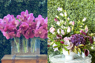 Why 'Rooted' is the Must-See Floral Event of America’s 250th Anniversary