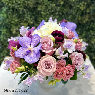 Alora -Available week of February 9th