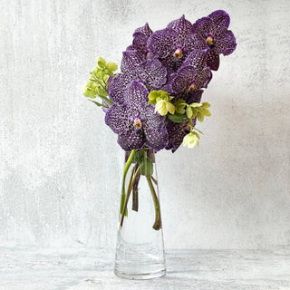 Blue Orchid Flower Trend