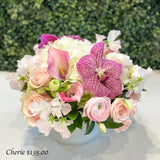 Chérie -Available week of February 9th