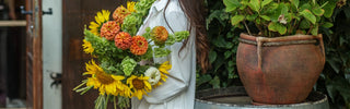 Dahlias to Sunflowers