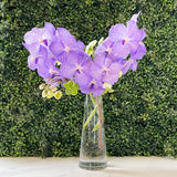 Sincerely, Vanda DOUBLE STEM Flowers