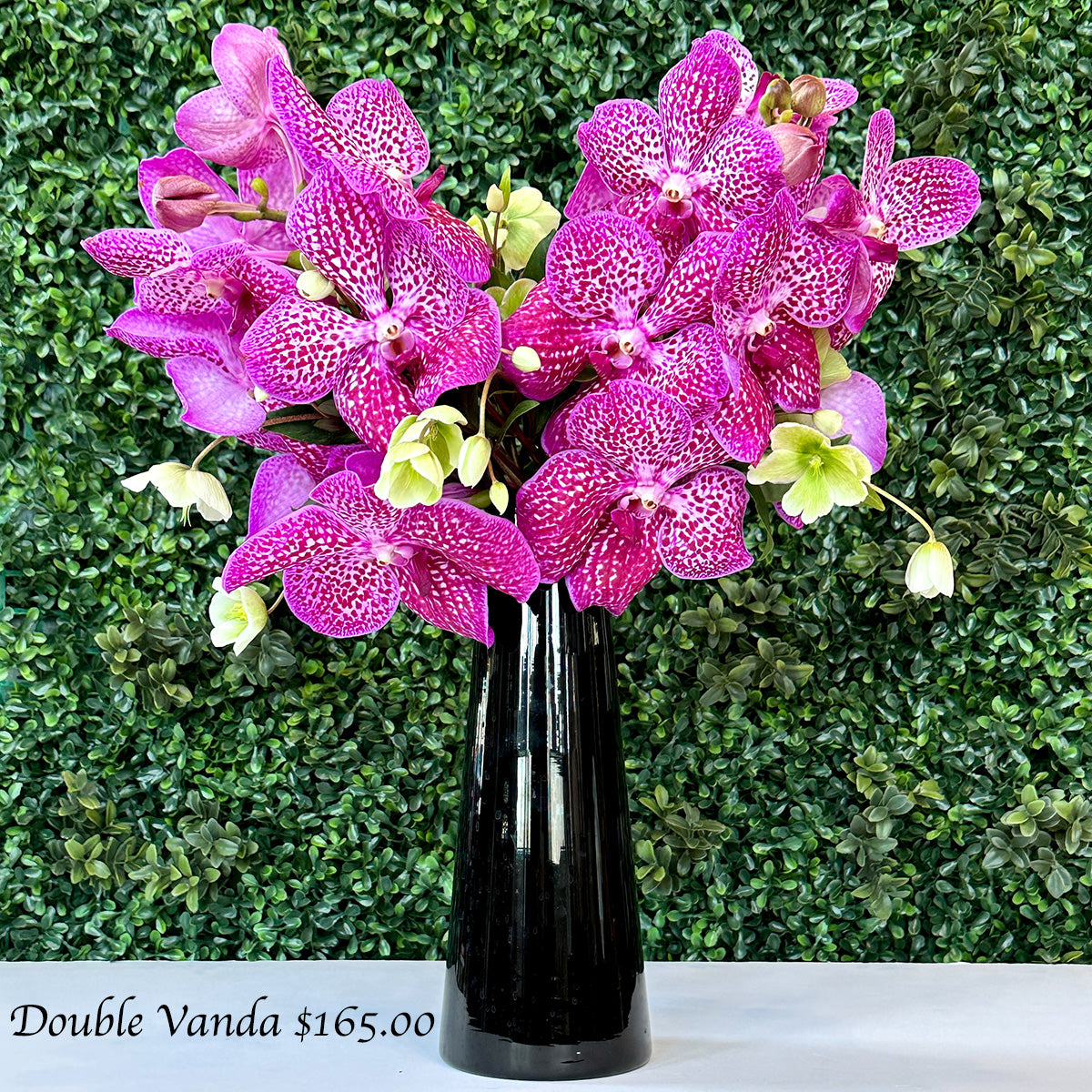 Vanda Double Rods Sincerely, Vanda Flowers – Elegant Blooms for Any Occasion – Monsoon ...