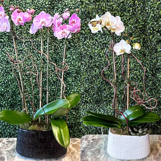 Major 2026 Floral Trends