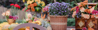 Flower Arrangements