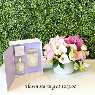 Haven - A Lavish Gift