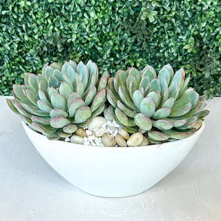 Double Succulent Boat