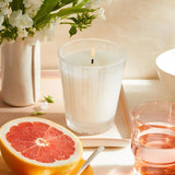 Nest Grapefruit Candle