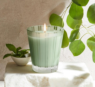 Nest Wild Mint & Eucalyptus Classic Candle