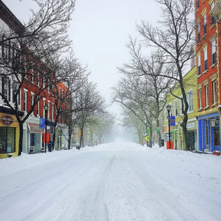 Best Flower Delivery in Nyack