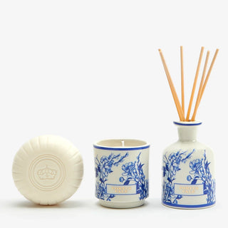 Gold & Blue Portus Calle Boxed Gift Set