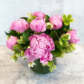 Bowl of Peonies