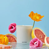 Apotheke Sea Salt Grapefruit Classic Candle