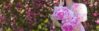 Send Peonies Flowers