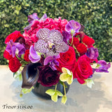 Trésor - Available week of February 9th