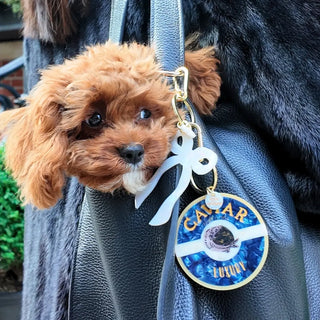 Hand-painted Caviar Bag Charm + Keychain