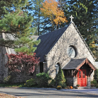 Buy Flowers in NORWOOD