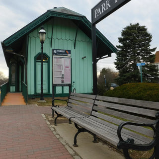 Buy Flowers in Park Ridge