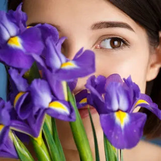 iris flower