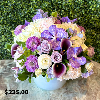 Shades of Purple