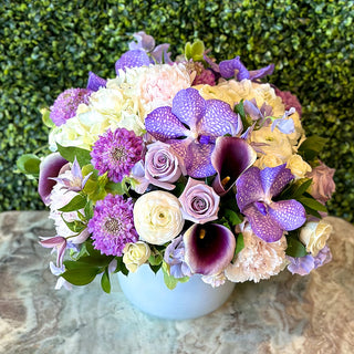 Shades of Purple