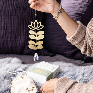 Conscious Calm - A Curated Box