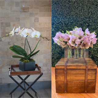 The 10-Day Challenge: Which 2026 Flower Trends Actually Last?