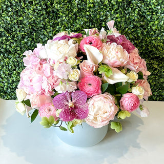 Shades of Pink