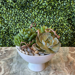 Succulent Garden in White Footed Compote