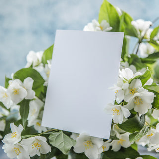sympathy-card